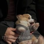 Avatar de Manuel Ortiz